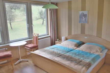 Vacation in Saxon Switzerland Garden Pool Stove