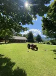 Couzin Sid’s Farmhouse in Wears Valley between Pigeon Forge and Townsend
