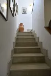 villa immersa nel verdo