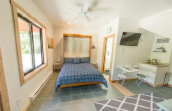 STUDIO 203: AMAZING Mountain Views - 5 Minutes to Downtown Durango! Pet Friendly