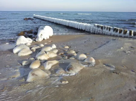 Quiet, bright apartment with large garden and parking