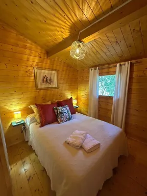 Chalet de Location au Cœur de la Forêt. Randonnées Entre Rivière et Montagne Hôtels à proximité de : Plage de Nichjaretu