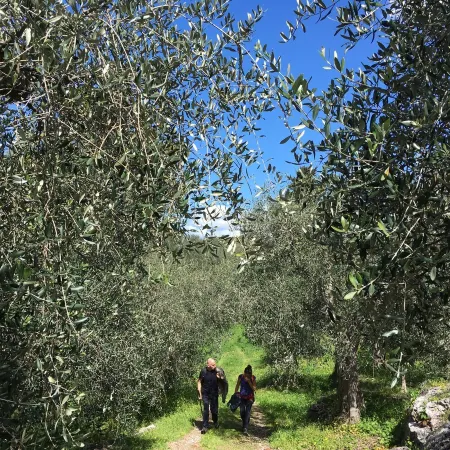 La Casa Rosa a 10 minuti da Pisa