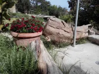 House with garden Lacco Ameno