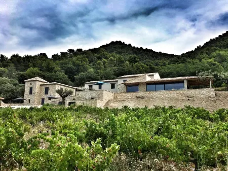 Mas des Amis, Seguret, Village classified in Provence, heated swimming pool