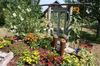 House in Columbage  Fully Renovated Between Strasbourg and Colmar