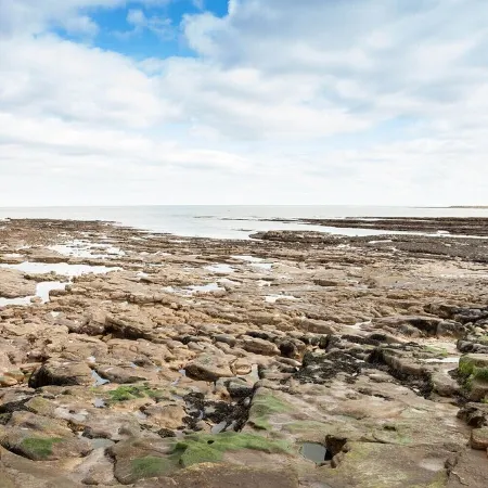 Stunning Beaches Within Walking Distance