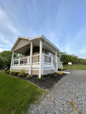 Tiny house and tiny horses Hotels near Sims Point