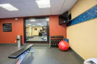 Hampton Inn by Hilton St. Charles St. Peters - Gym