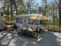 Experience nature with privacy at Comfort Spot Camp & Cottage!