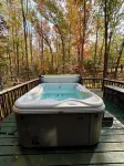 Private Cozy Cabin in the woods minutes from Baldwin with WiFi, AC and Hot Tub
