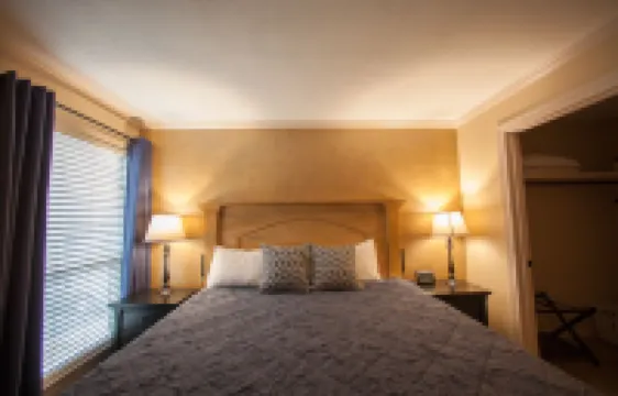 Walk In Level - Beautiful/Clean/Recently Remodeled 1BD/1BA at Pointe Royale