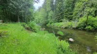 Fish, kayak or relax at a riverfront cabin in the woods of Rainier, Washington!