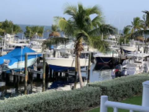 Our Place Overlooks the Atlantic. Our Marina is Less Than 50 ft from Our Patio