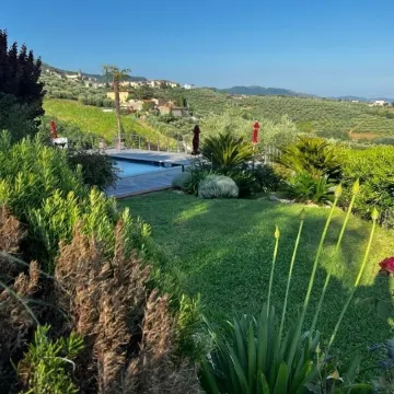 Appartement with pool, located between olive treees and wine rapes