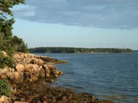 Aldernest Loft - Acadia Park/Mount Desert Island -walk across lawn down to shore