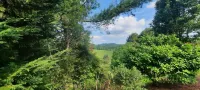 Mountain Retreat in Blue Ridge Mountains. Privacy!  Owner Managed.