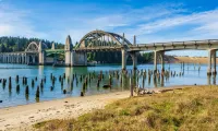 Year Round Fun - Dog Friendly!
