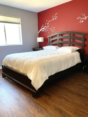 Casino Wine down House with Winter Igloo