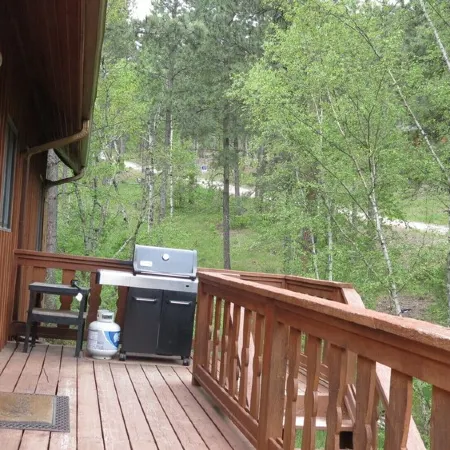 Moose Haven Cabin Close to ATV trails and Lake Pactola