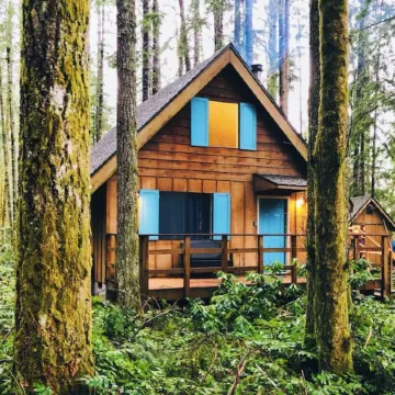 🏔 Blue Ox Basecamp Cabin: WiFi, Hot tub, Fireplace by Mt Rainier National Park