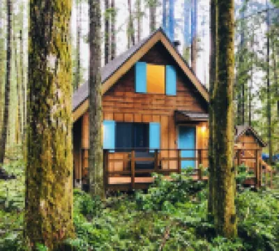 🏔 Blue Ox Basecamp Cabin: WiFi, Hot tub, Fireplace by Mt Rainier National Park
