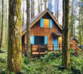 🏔 Blue Ox Basecamp Cabin: WiFi, Hot tub, Fireplace by Mt Rainier National Park