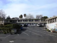 Stanford Motor Inn - Motels