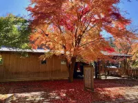 Rita’S Ranch Hotels in Shimonita