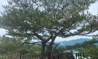 Yanggu Amor Pension