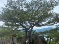 Yanggu Amor Pension Hotels in Yanggu-gun