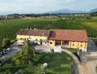 Agriturismo Corte Casa Erminia Hotel in zona Caneva Aquapark
