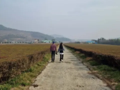 구름속의 산책 펜션