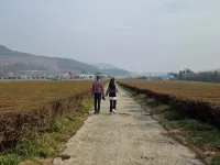 Boseong Gureumsogui Sanchaek Pension Hotels in Boseong-gun