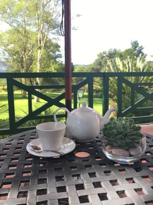 Cuckoos Nest Guest House - Wifi