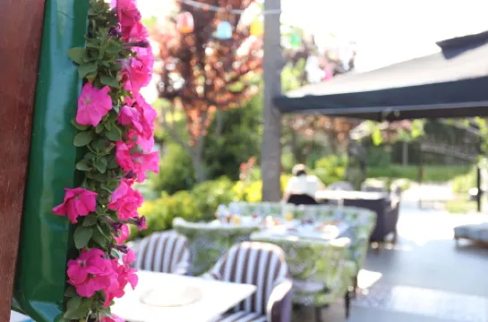 توركواس بوتيك هوتل الأماكن العامة Photos