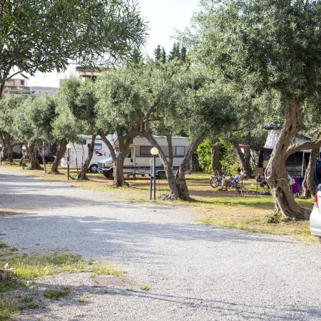 Camping Degli Ulivi