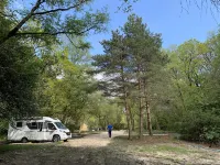 Nuthatch Cabin at Cloudshill Glade