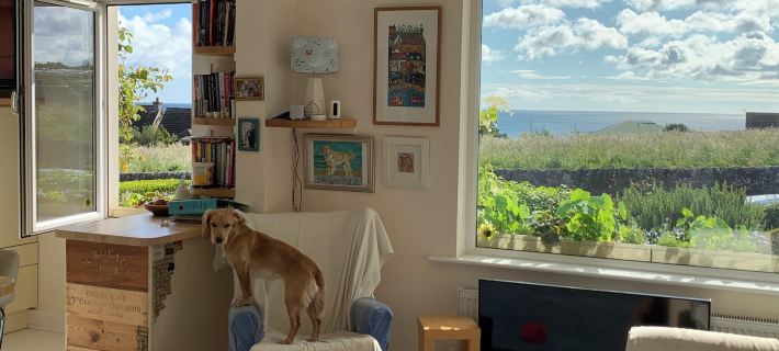 No12 Bed and Breakfast, St Andrews Hotels in St Andrews
