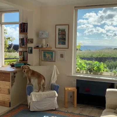 No12 Bed and Breakfast, St Andrews Hotels near St Andrews Harbour Trust