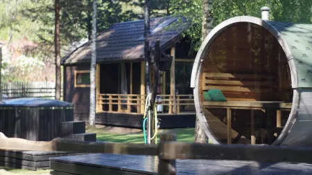 Metai Mikea Year in the Forest