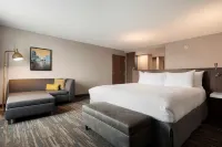 Hilton Garden Inn Milwaukee Brookfield Conference Center Hotels in Brookfield