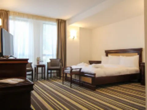 Hotel Avenue - Avenue Hotels Hotels in Buzau