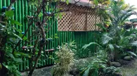 Hotel El Delfin Hotels in 