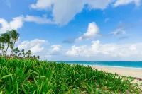 Palm Green Vacations Whitesands