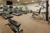 Crowne Plaza LEON by IHG - Gym