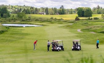 Red Maple Inn and Suites