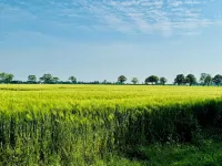 Rügen in Ländlicher Gegend Abseits der Touristen Gebiete Hotels in Trent