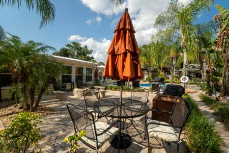 Pool Area, Lounge, Koi Pond and Waterfall - Stunning Retreat