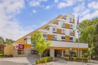 Best Western Plus Raleigh Crabtree Valley Hotel Hotels in Raleigh